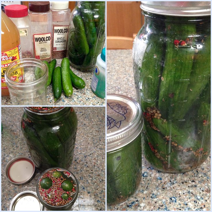 Mastering Homemade Half Sour Pickles: Easy Refrigerator Recipe